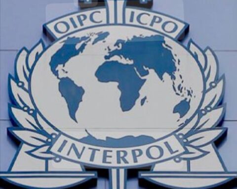 Інтерпол співпрацює з Росією: бійців за свободу оголошують терористами