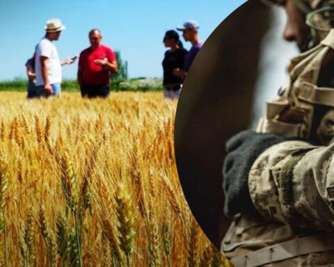 Відстрочка від мобілізації для аграріїв — кого можна забронювати