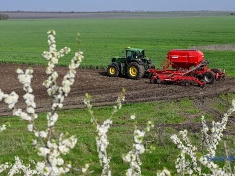 Посівна-2025: воєнні виклики і впливи погоди